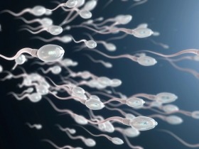 Jak probíhá selekce spermií pomocí MSS čipu?