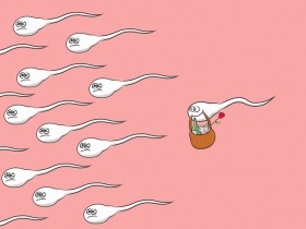 Jak probíhá selekce spermií pomocí MSS čipu?