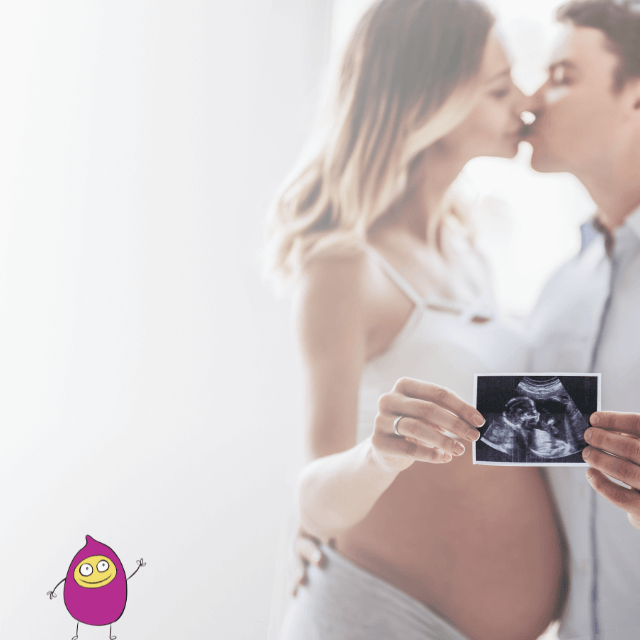 IVF studie